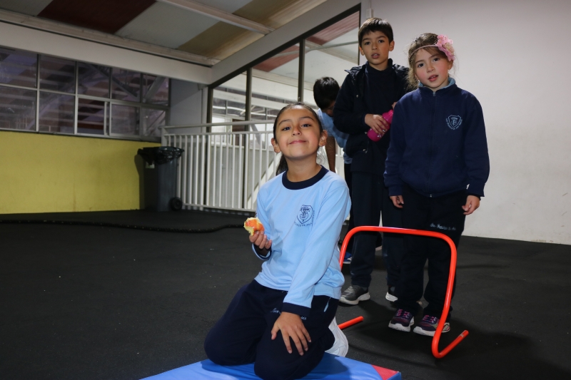 Día de la Actividad Física